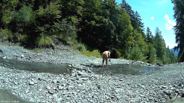 dans la nature
