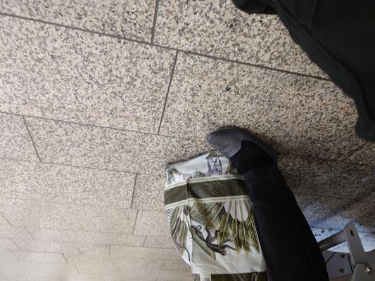 She feeds the pigeons in Worn Shoes & Socks