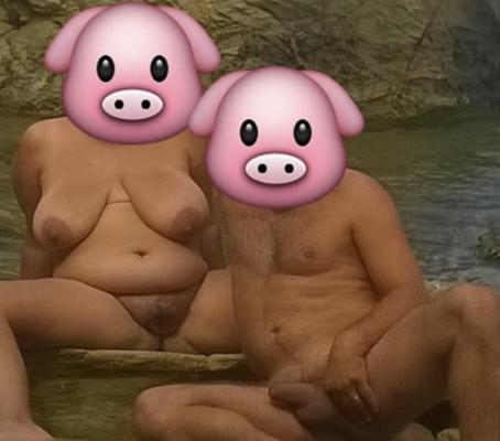 Крудчатая пара