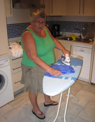 Vieilles grossa Truies Au Hallyer